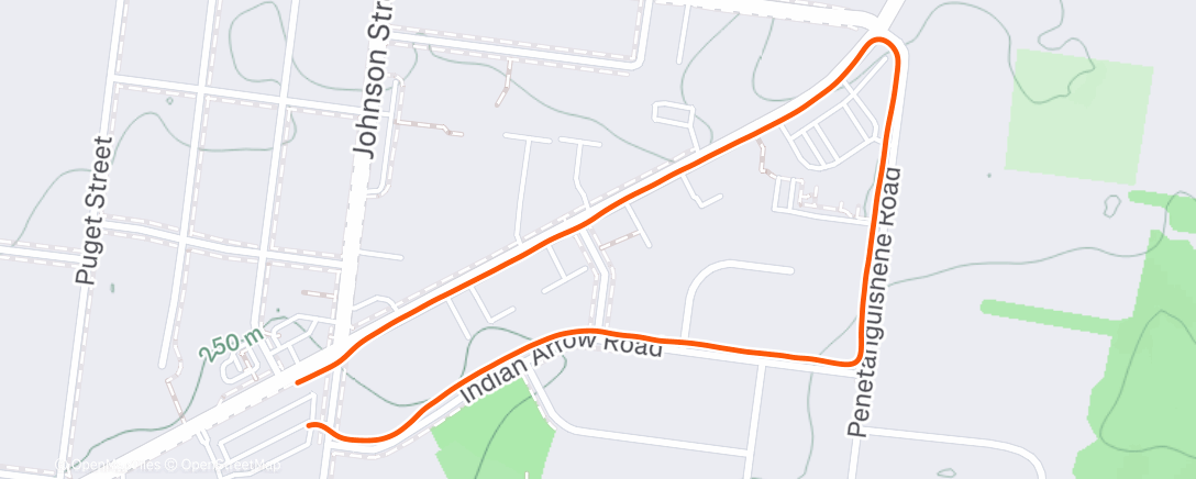Map of the activity, Morning Run