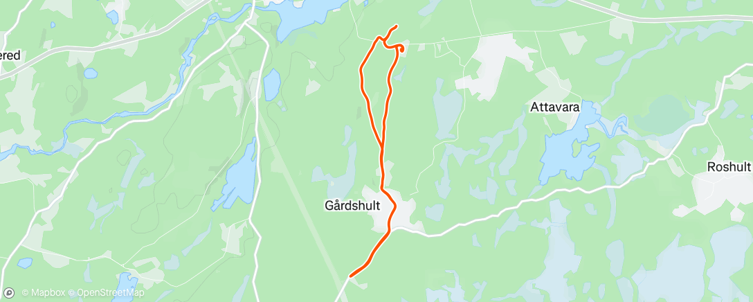 Map of the activity, Afternoon Run