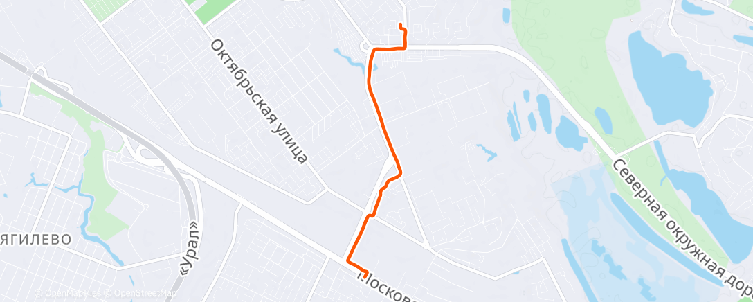 Map of the activity, Evening Run