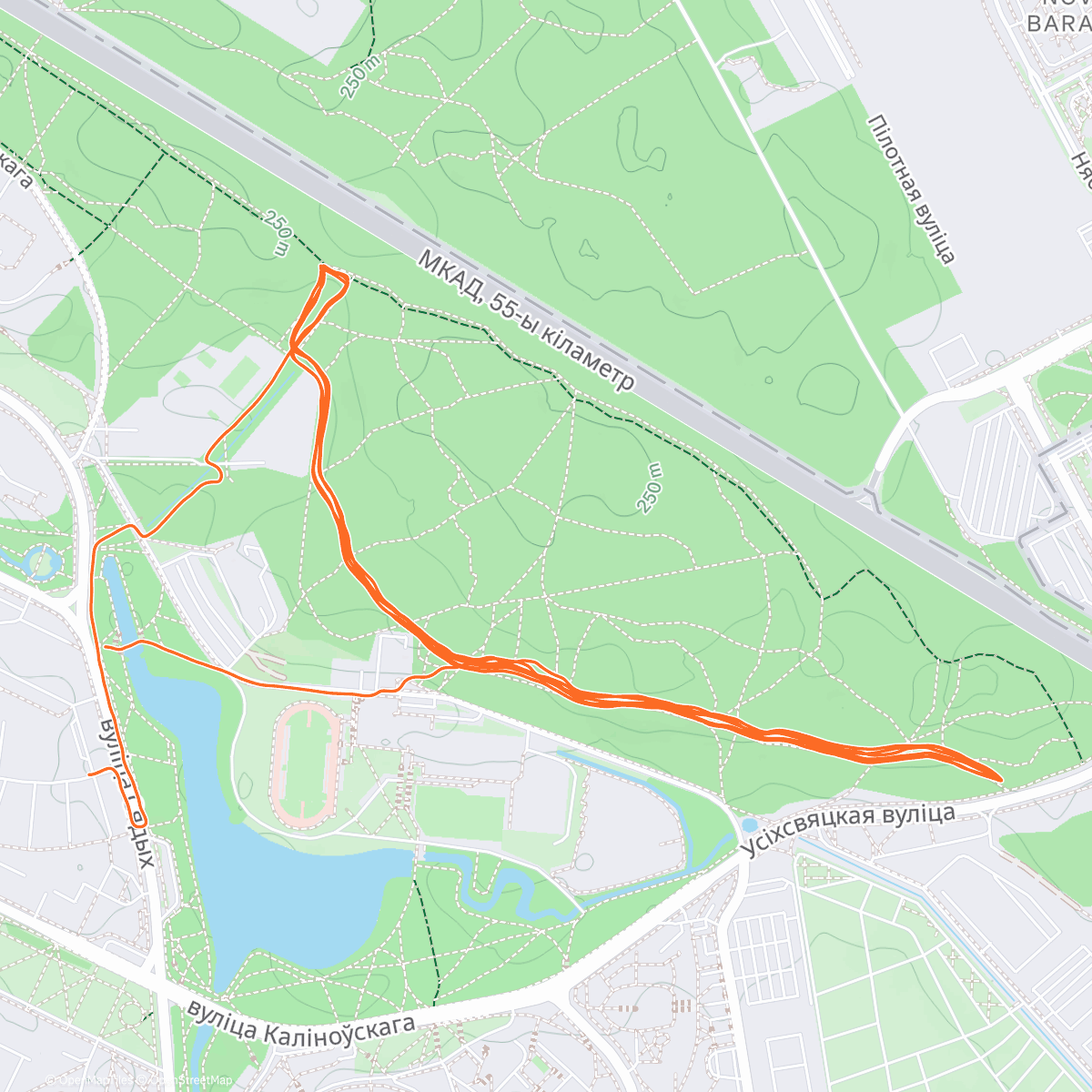 Карта физической активности (Дневной забег)