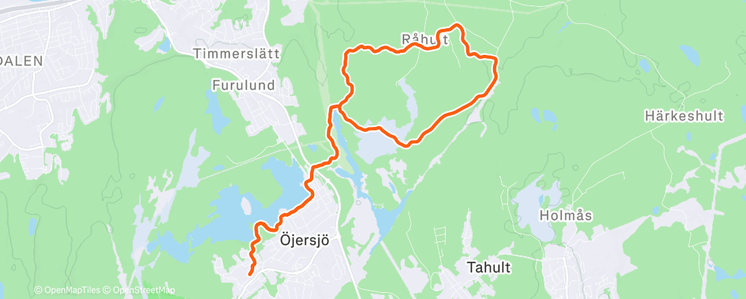 Карта физической активности (Morning Trail Run)