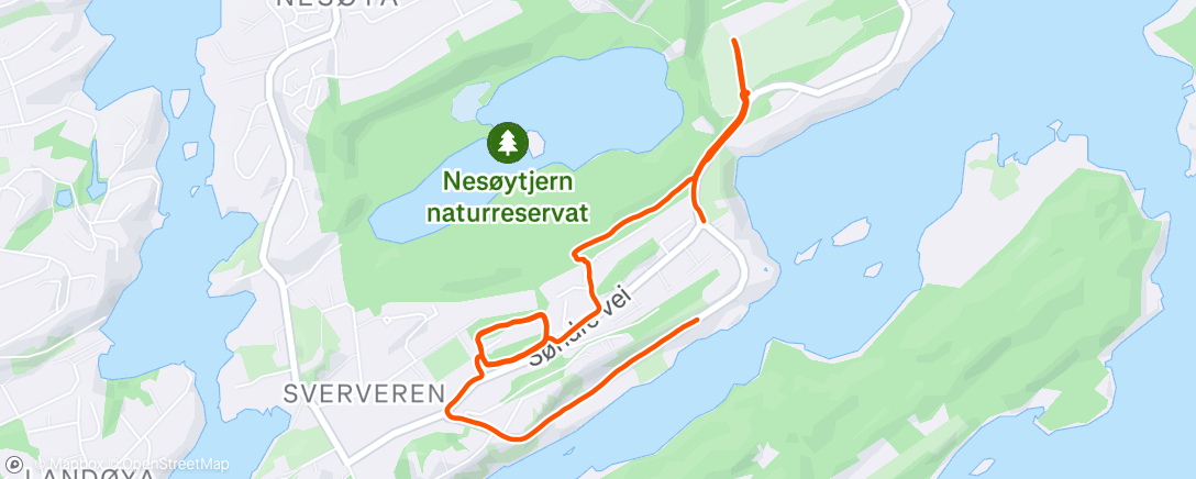 Map of the activity, Evening Run