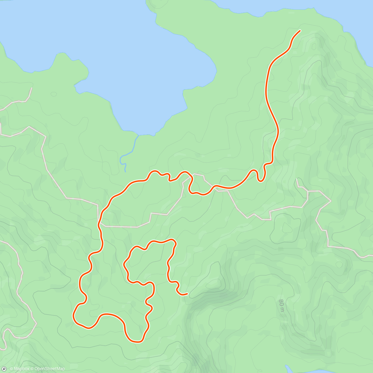 Map of the activity, Zwift - Jungle Circuit in Watopia