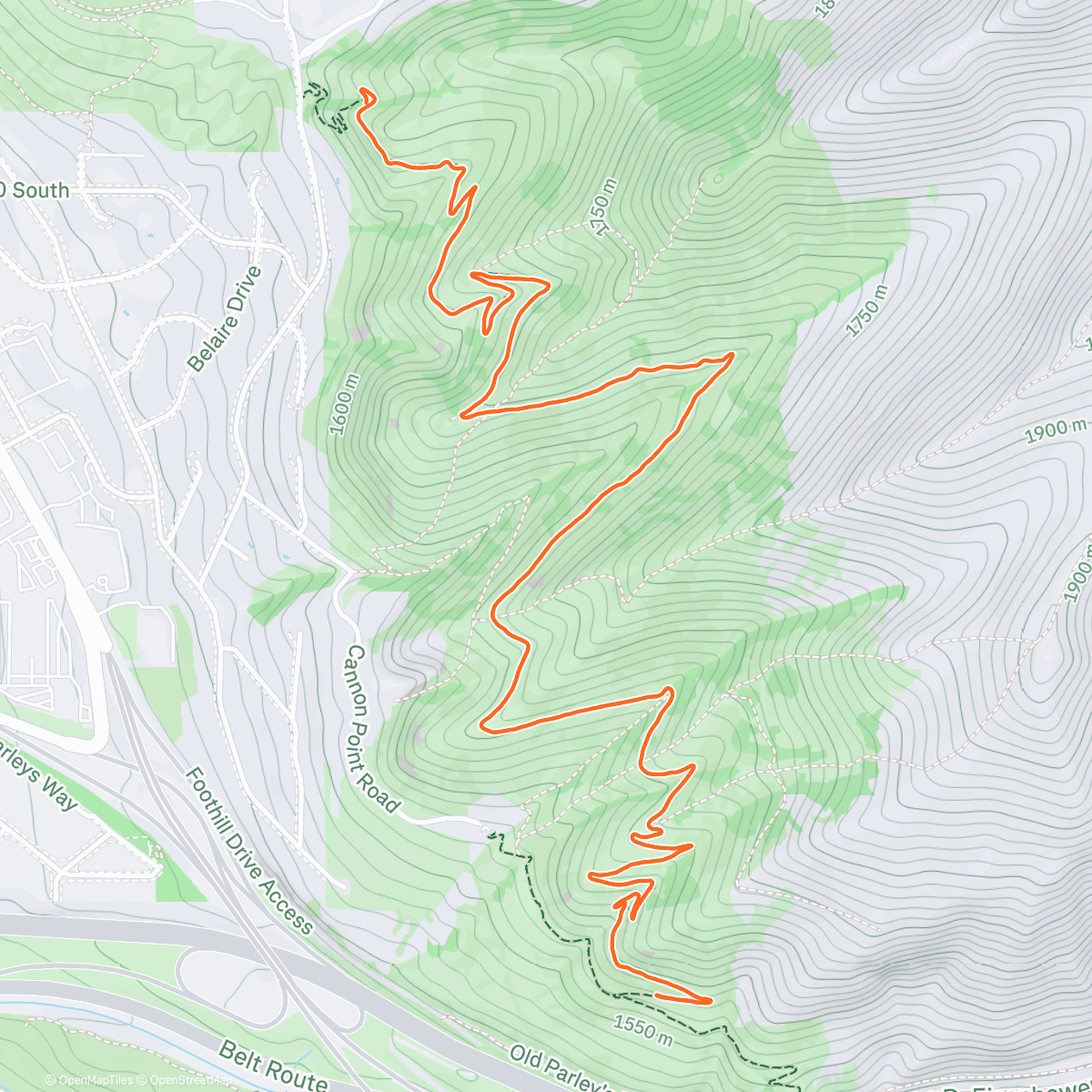 活动地图，Afternoon Trail Run