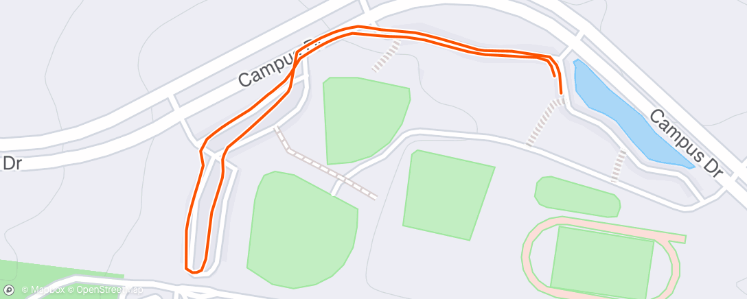 Map of the activity, Evening Run
