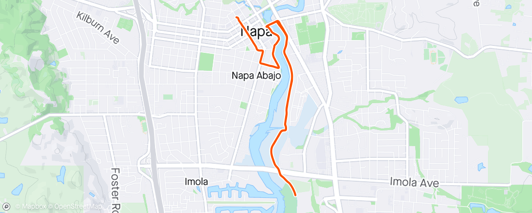 Mapa de la actividad (Morning Run)