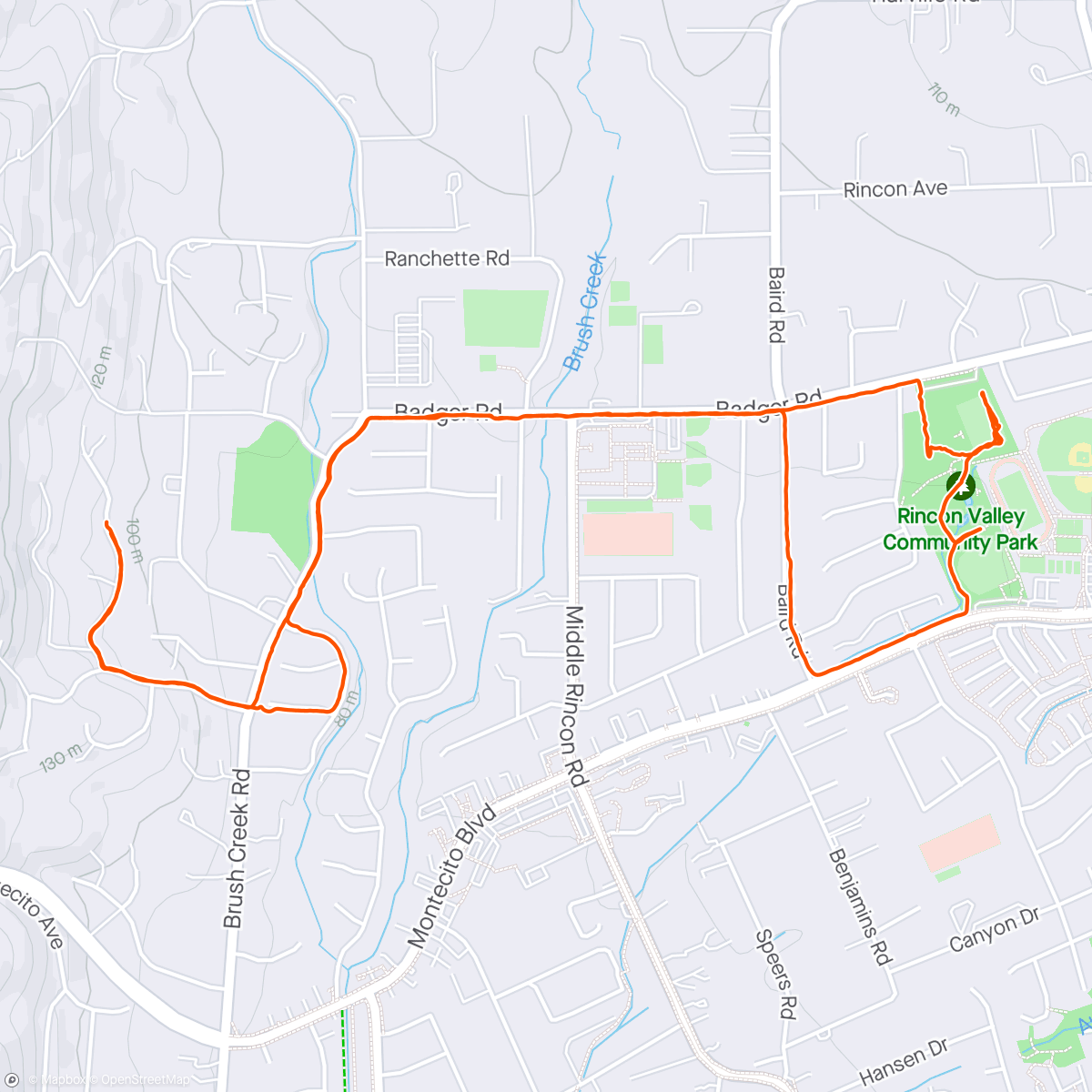 Map of the activity, Dog walk with frisbee at the park