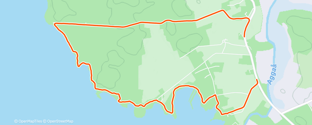 Карта физической активности (Lunch Run)