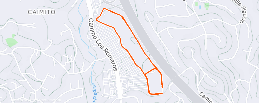 Mapa de la actividad (Morning Run)