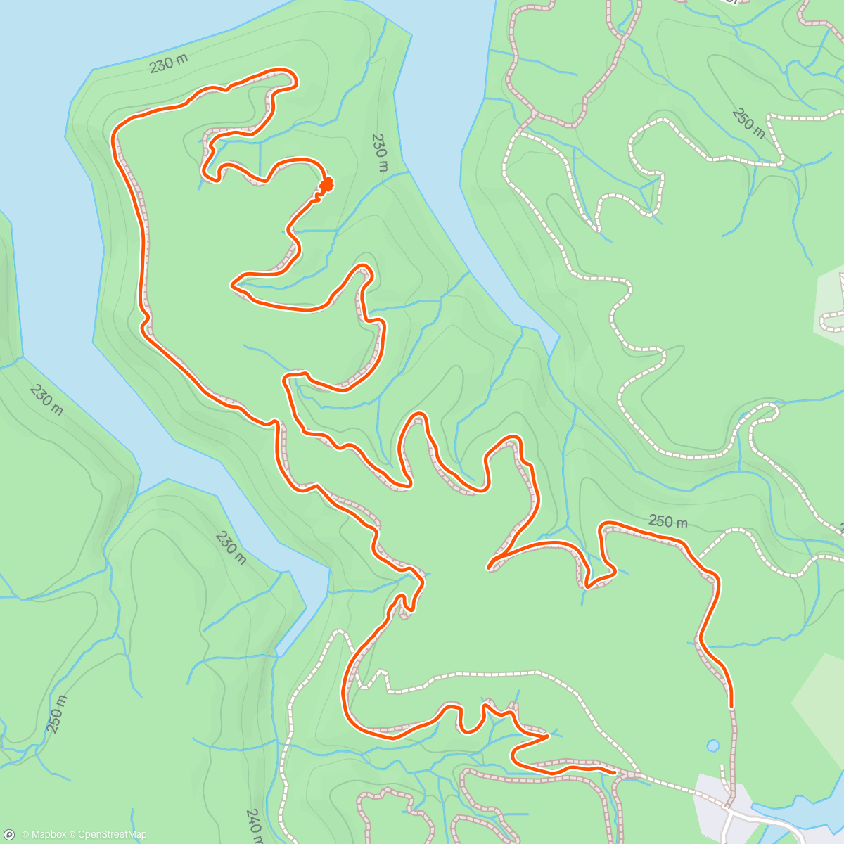 Map of the activity, Trail clearing at ef