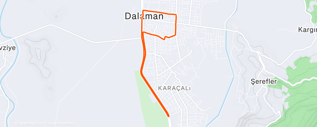 Карта физической активности (Morning Run)