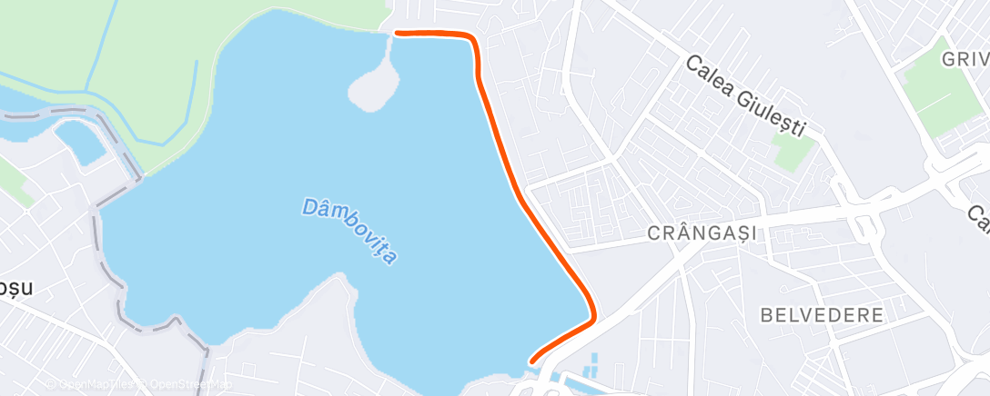 Map of the activity, Afternoon Run