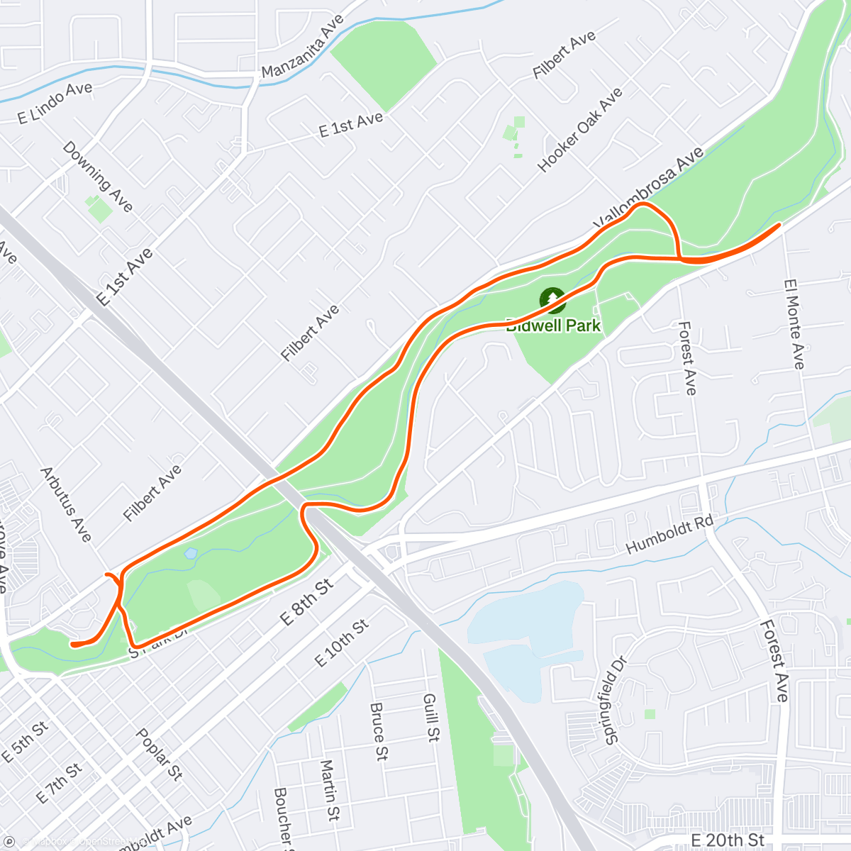 Map of the activity, gooood morning lower bidwell!! 🌻🌳🥰