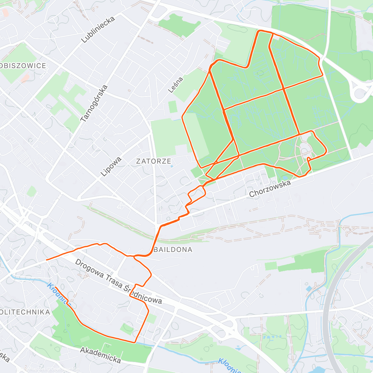 Map of the activity, Evening Trail Run