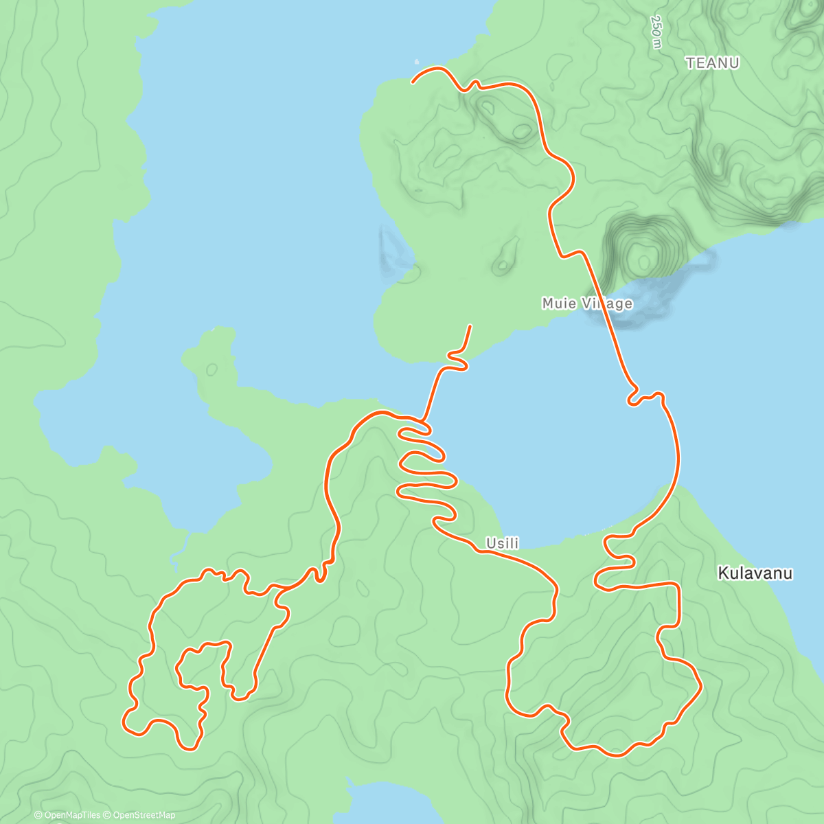 Peta aktivitas, Zwift - Big Loop in Watopia