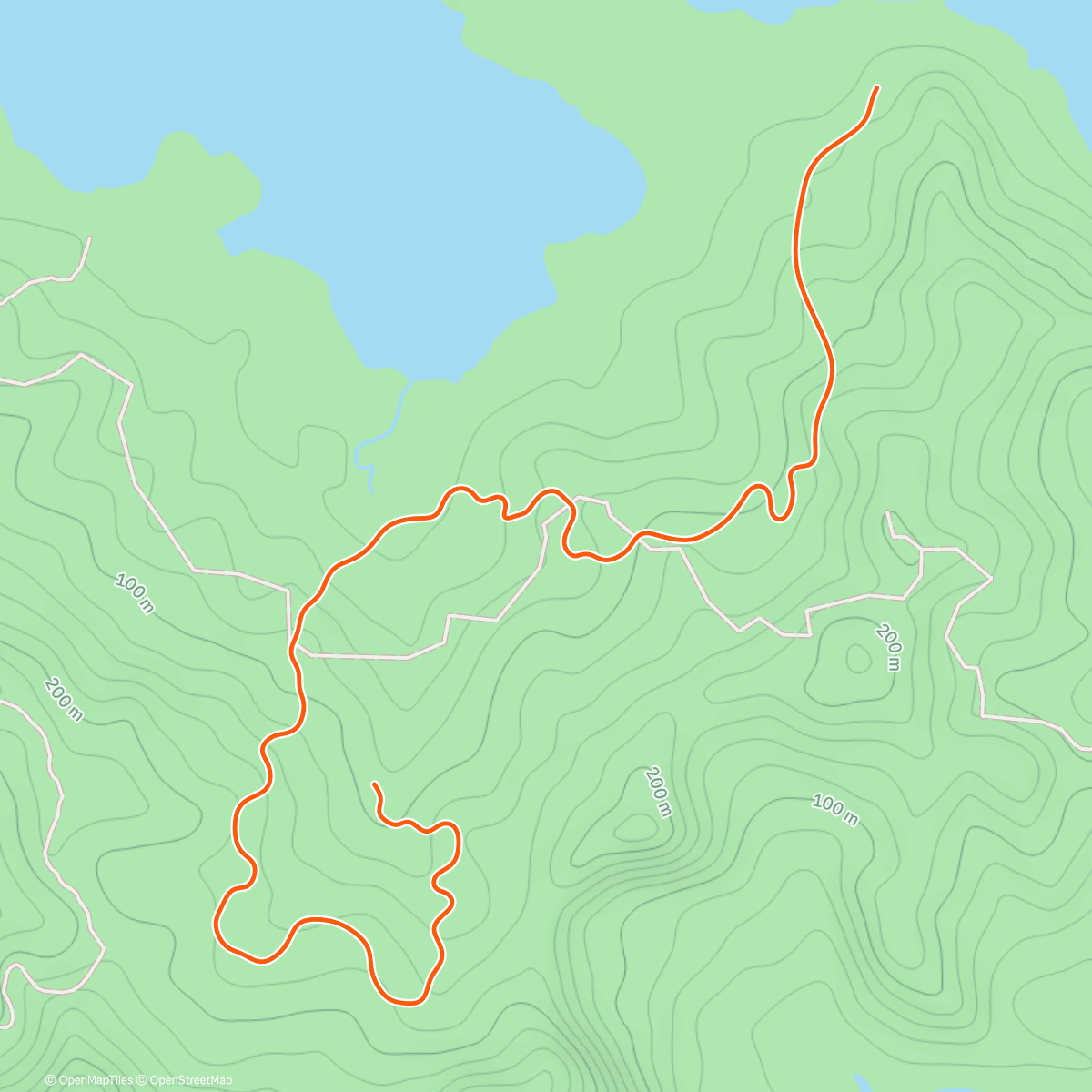 Map of the activity, Zwift - Brisk Burn on Jungle Circuit in Watopia