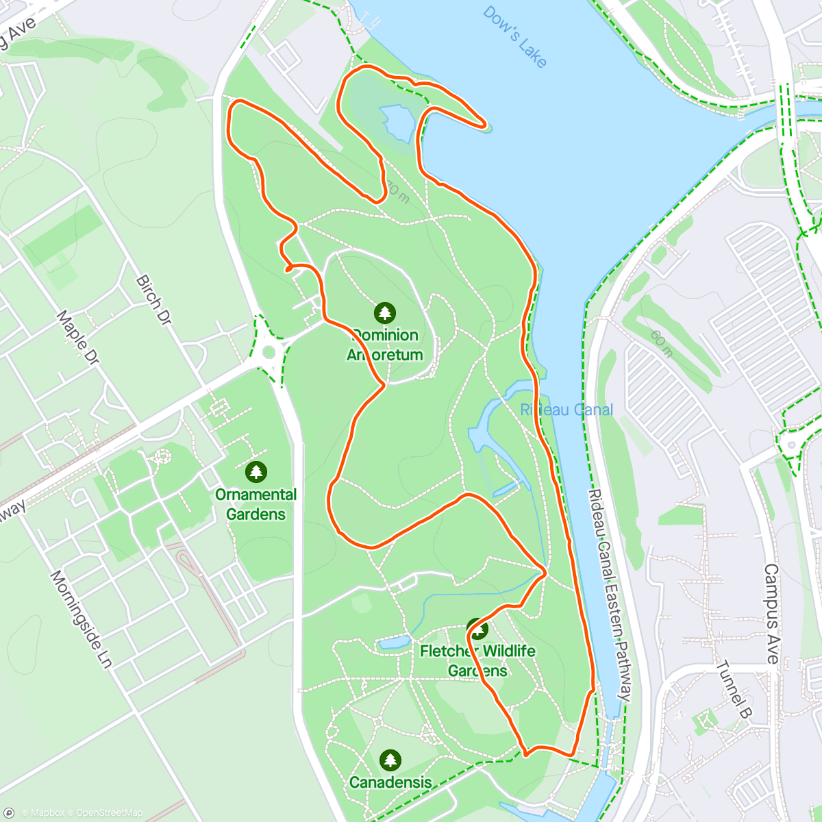Map of the activity, Afternoon Walk in The Arboretum