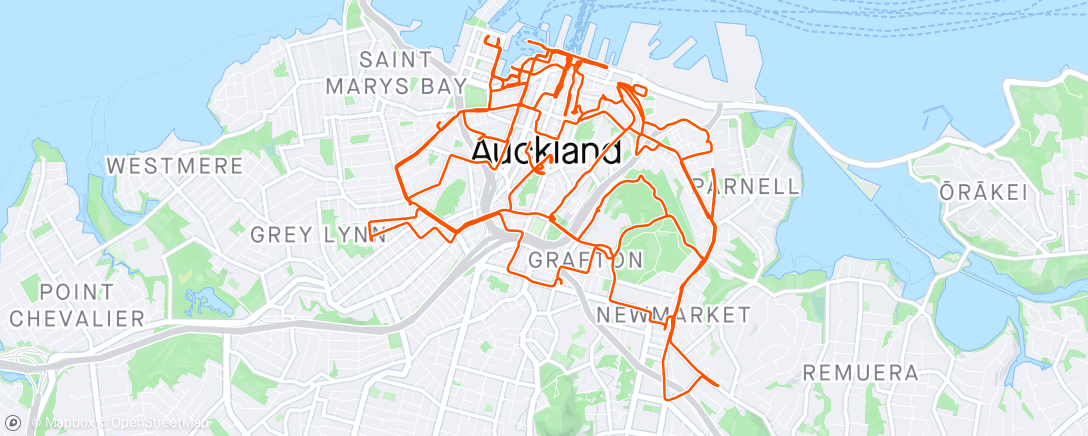 Mapa de la actividad, Pedalada de bicicleta elétrica matinal