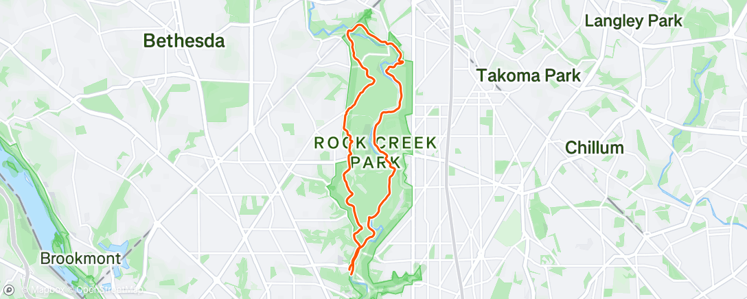Map of the activity, Morning Trail Run
