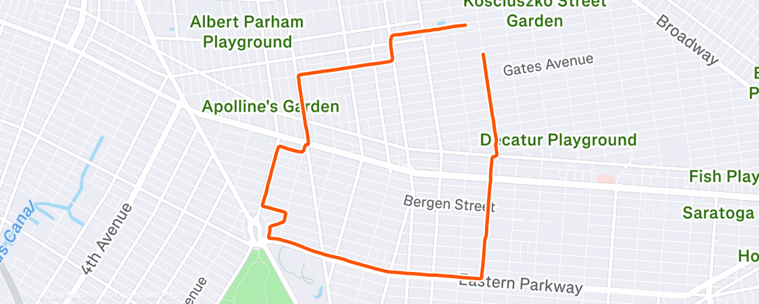 Карта физической активности (Afternoon Run)