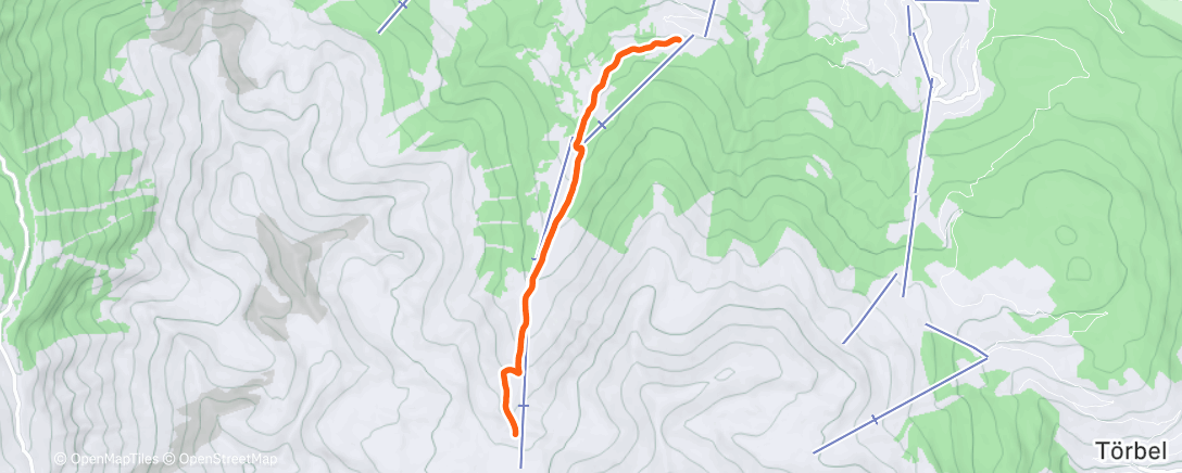 Карта физической активности (Touren am Morgen Ginals)