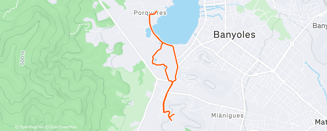 Карта физической активности (Morning Run)