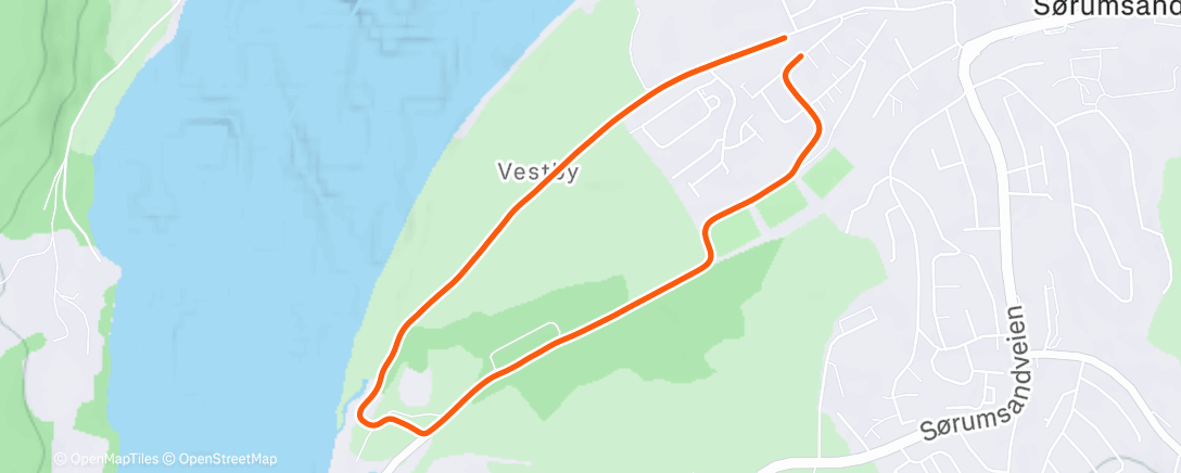 Карта физической активности (Afternoon Walk)