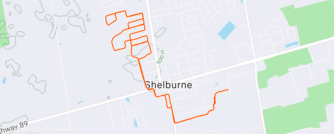 Map of the activity, Morning Run