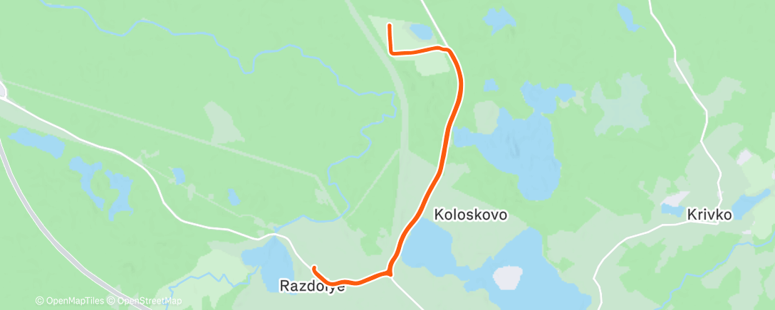 Map of the activity, Дневной забег