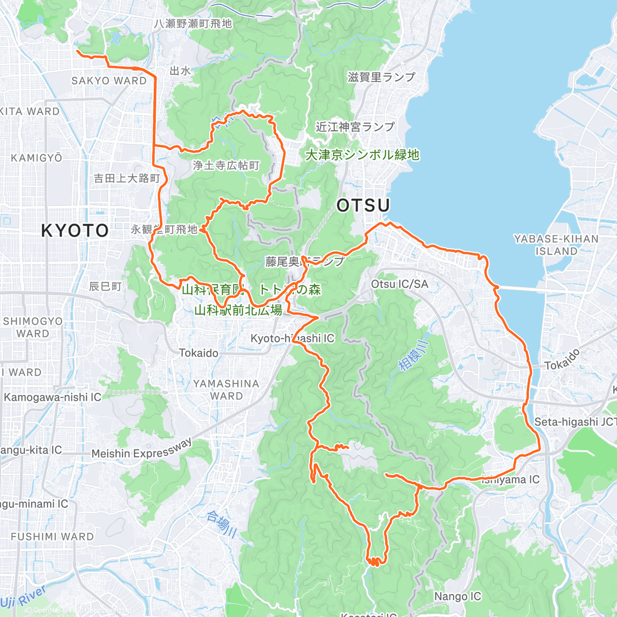 Карта физической активности (And so ends 2025)