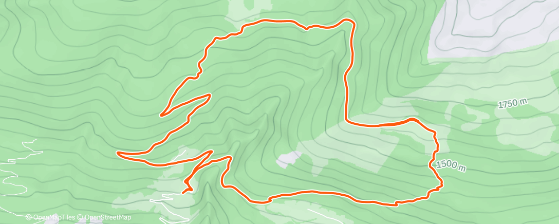 Map of the activity, frohe weihnachten 🎄