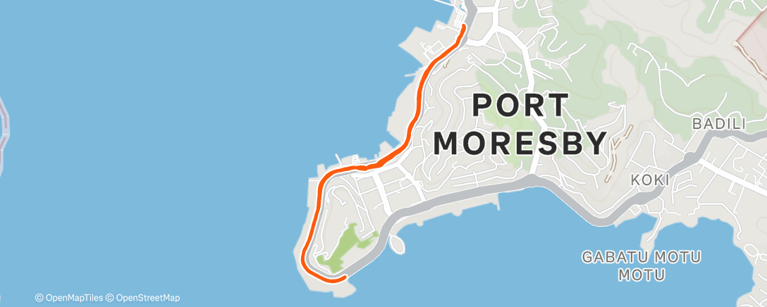 P. . | Strava Runner Profile