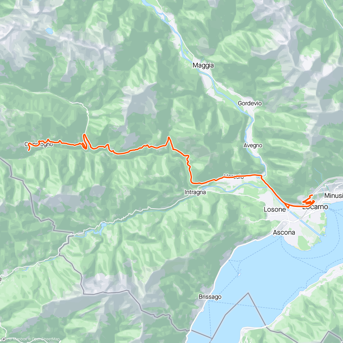 Map of the activity, Locarno - Spruga - 36 years later … 🦥🐌🐕🦄