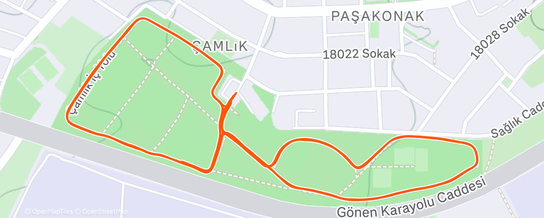 Карта физической активности (Afternoon Run)