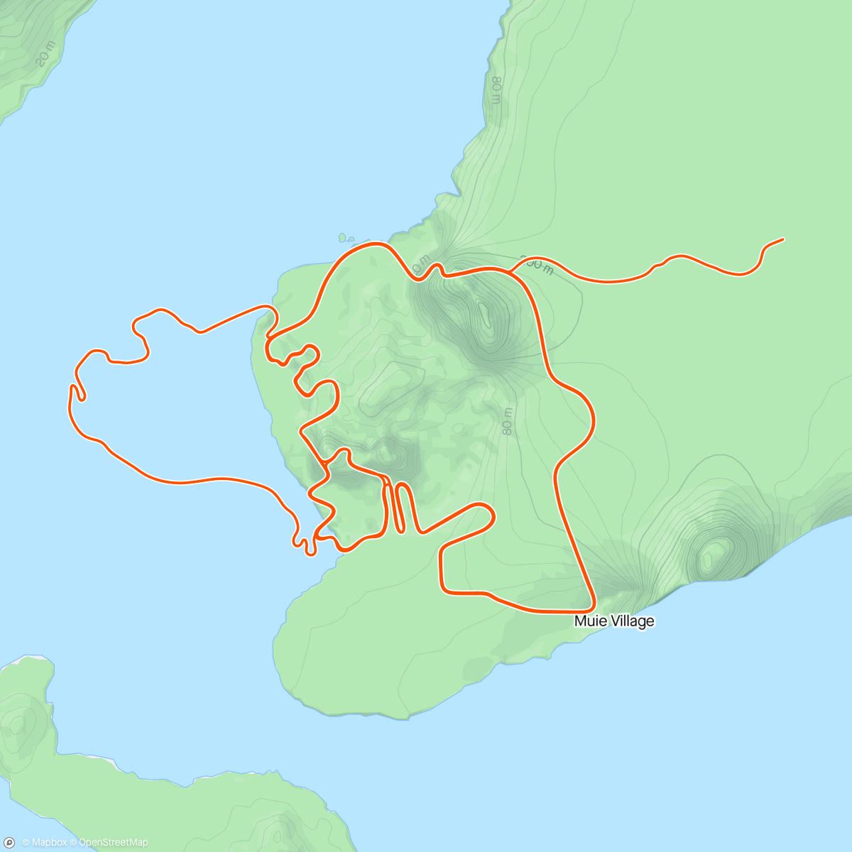 Map of the activity, Zwift - Beach Island Loop in Watopia