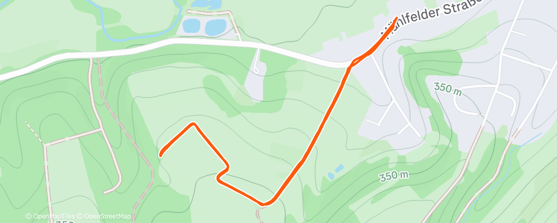 Map of the activity, Morning Walk