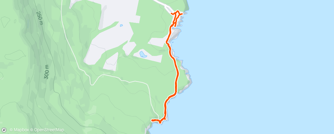Map of the activity, Free time?