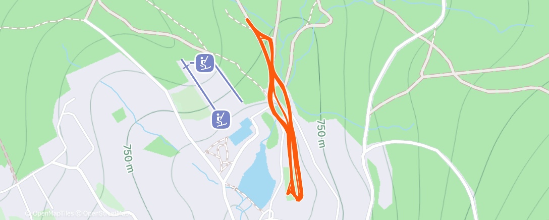 Карта физической активности (Morning Nordic Ski)