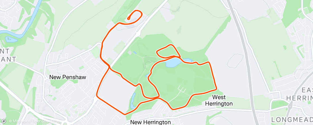 Map of the activity, Morning Run