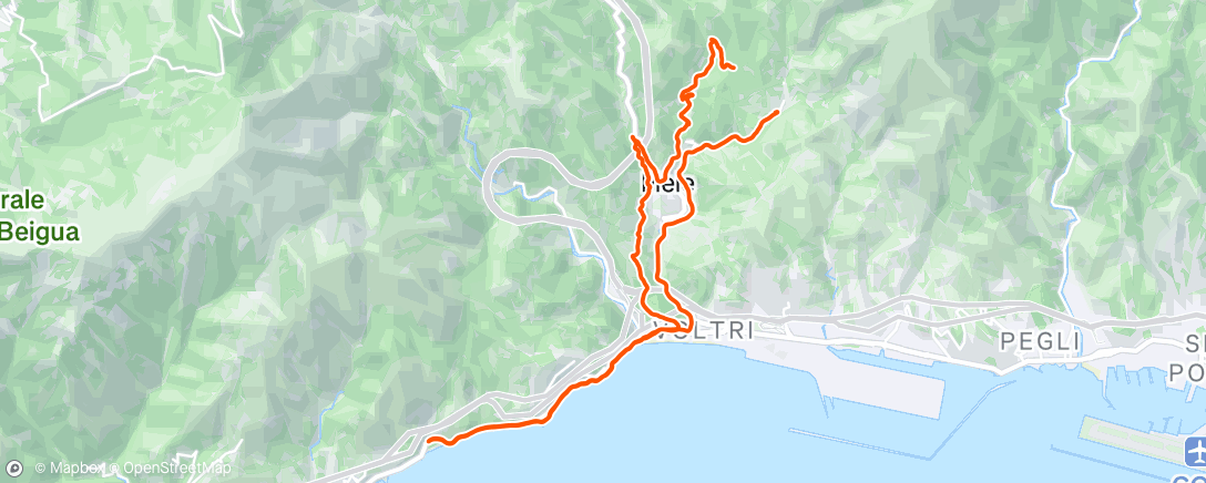 Map of the activity, Morning Run