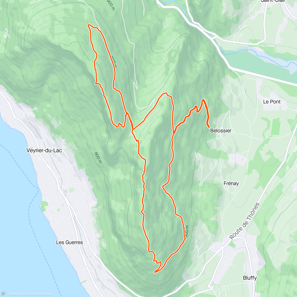 Map of the activity, One happy, well-traveled stick.