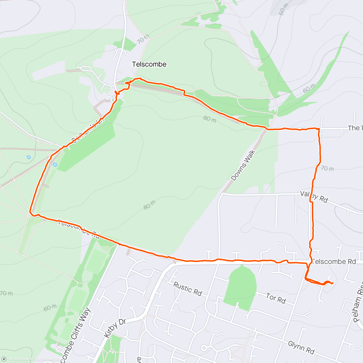 Map of the activity, Afternoon walk with Luna