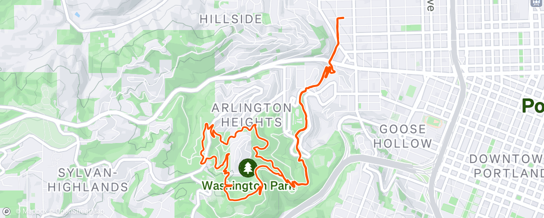 Map of the activity, Morning Run