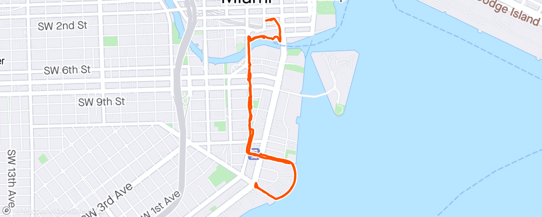 Mappa dell'attività Miami walk
