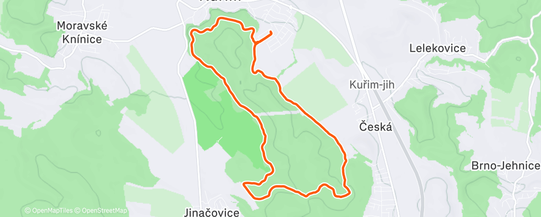 Карта физической активности (Lunch Run)