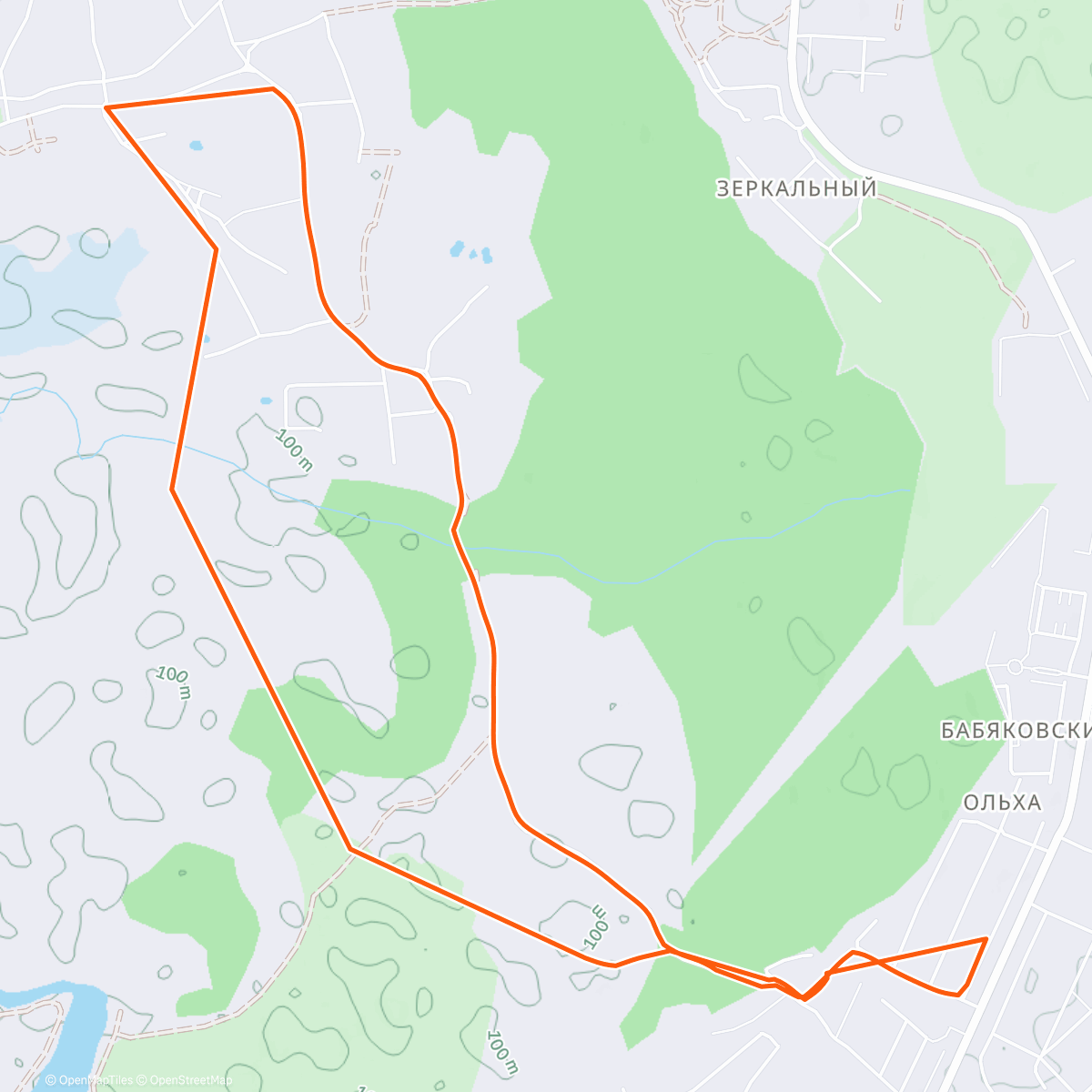 Карта физической активности (Прогулка)