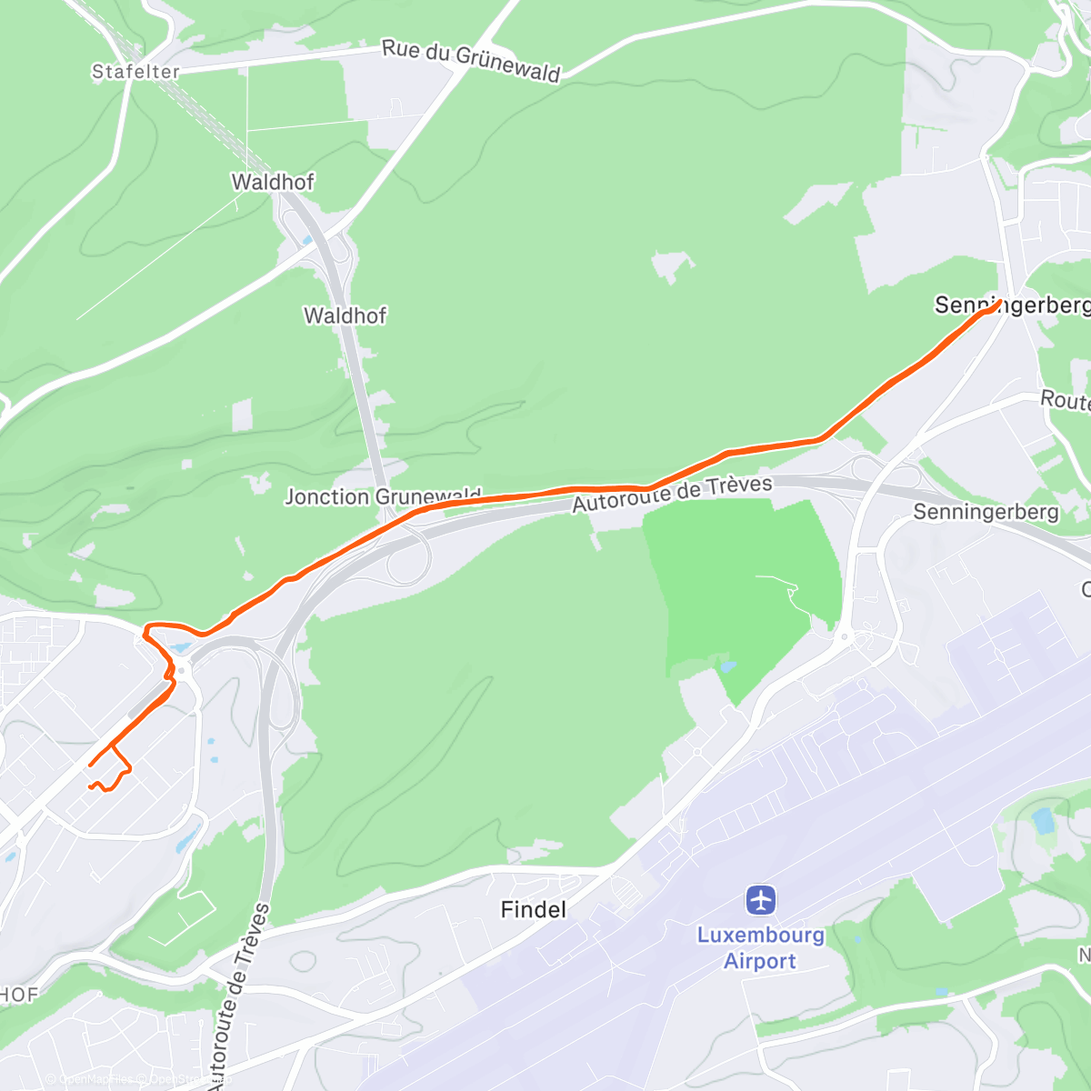 Карта физической активности (Lunch Run)