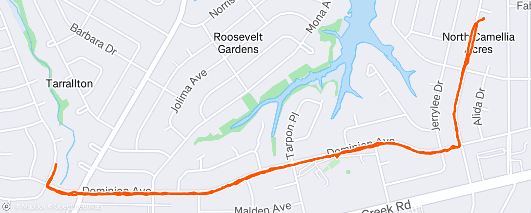 Map of the activity, W THE DOGS