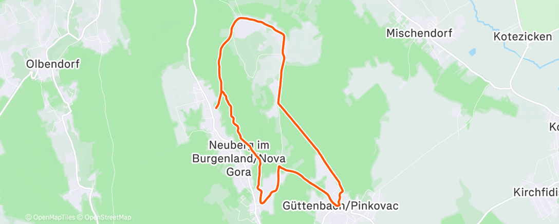 Map of the activity, Easy Hilly Evening Run