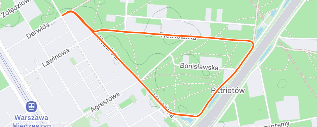 Карта физической активности (Evening Walk)